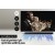 SAMSUNG HW-A650 3.1ch Soundbar (2021)
